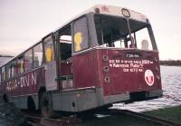 bus197